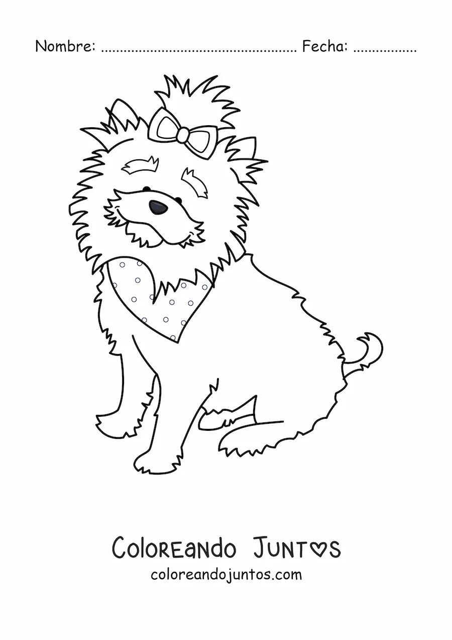 Imagen para colorear de un yorkshire terrier sentado usando una bandana y un lazo