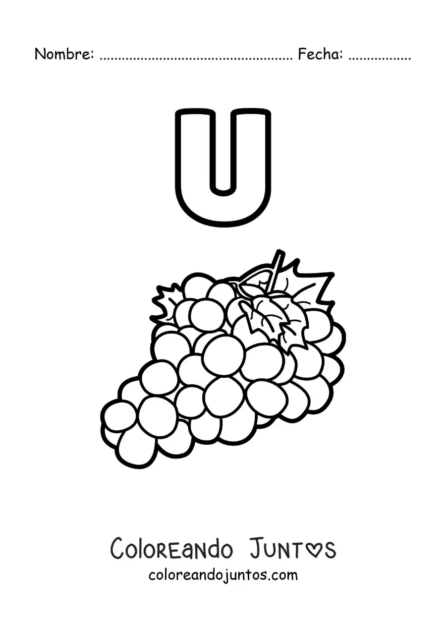 Imagen para colorear de la letra u de uvas