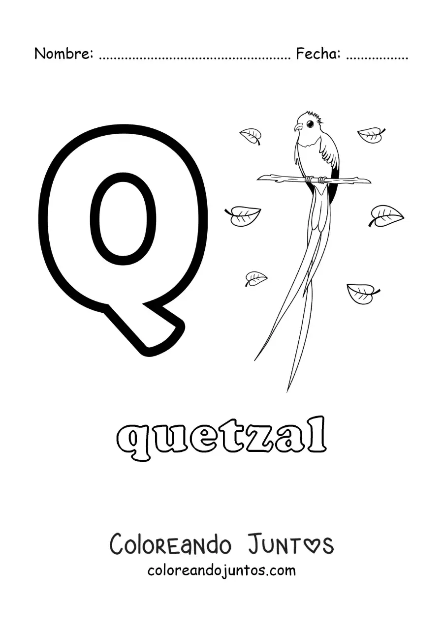 Imagen para colorear de la letra q de quetzal