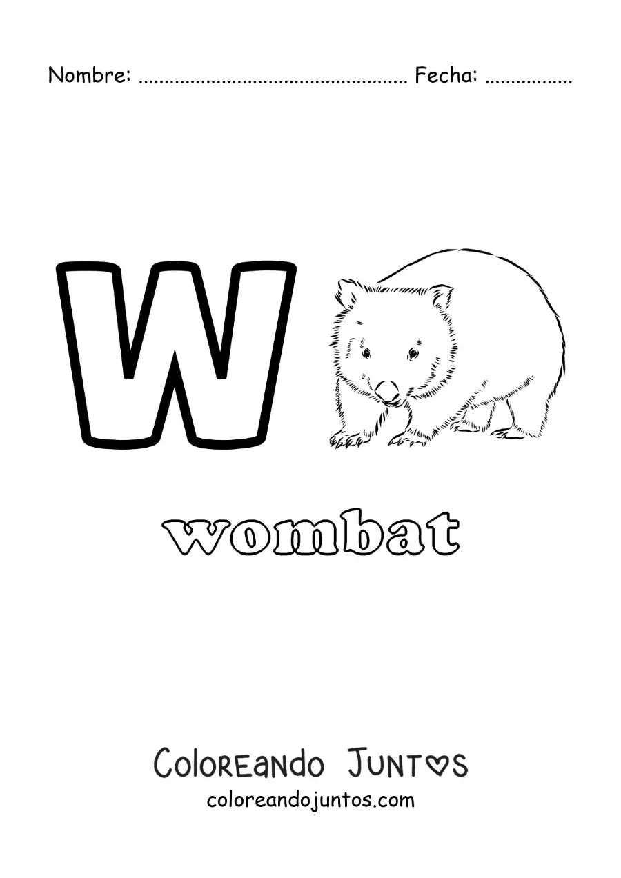 Imagen para colorear de la letra w de wombat