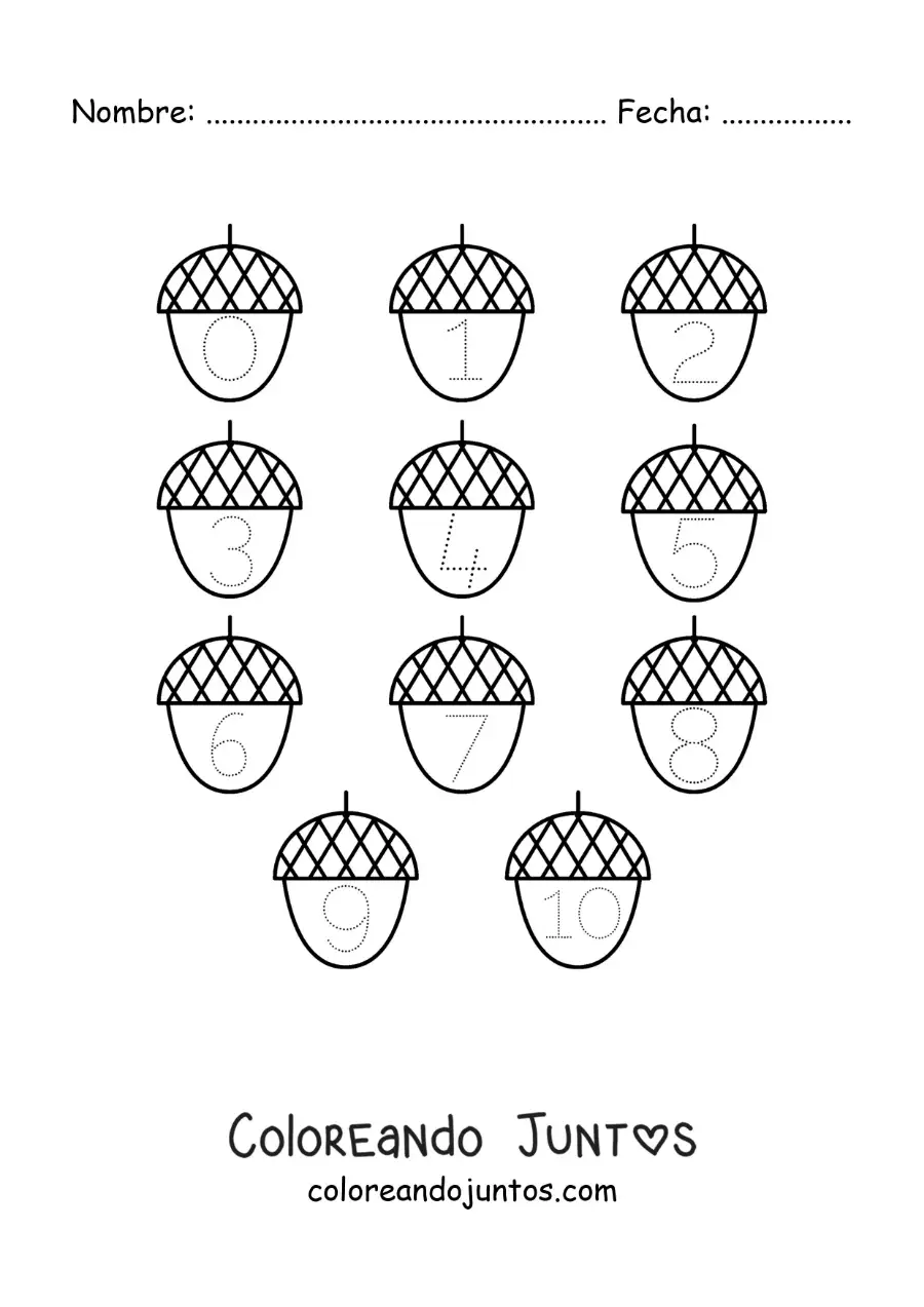 Imagen para colorear de actividad para trazar los números del 1 al 10 con bellotas