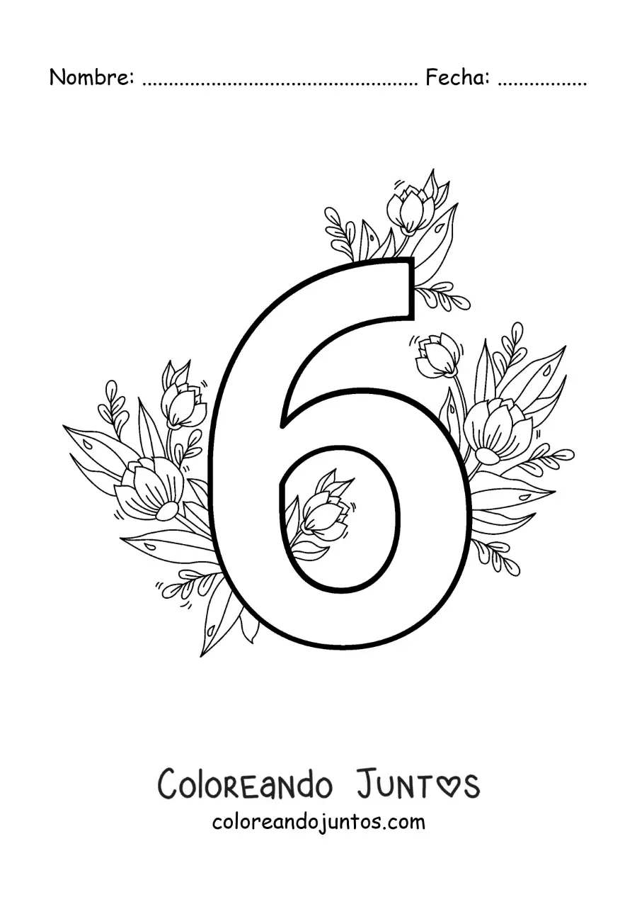 Imagen para colorear del número 6 decorado con flores