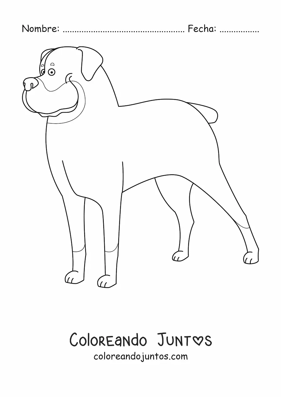 Imagen para colorear de un rottweiler