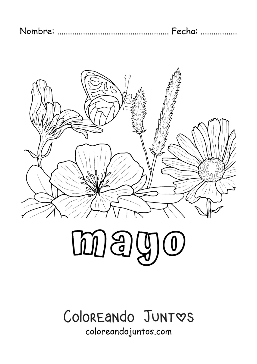 Imagen para colorear de mayo con una mariposa en un jardín de flores