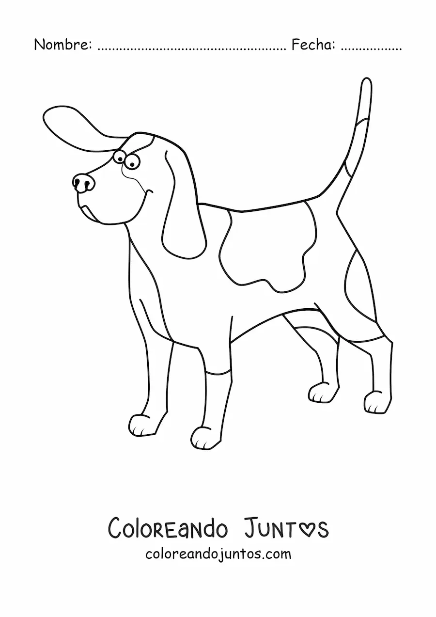 Imagen para colorear de un basset hound
