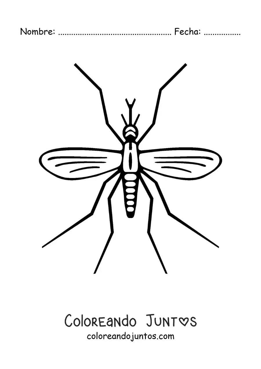 Imagen para colorear de un mosquito del dengue