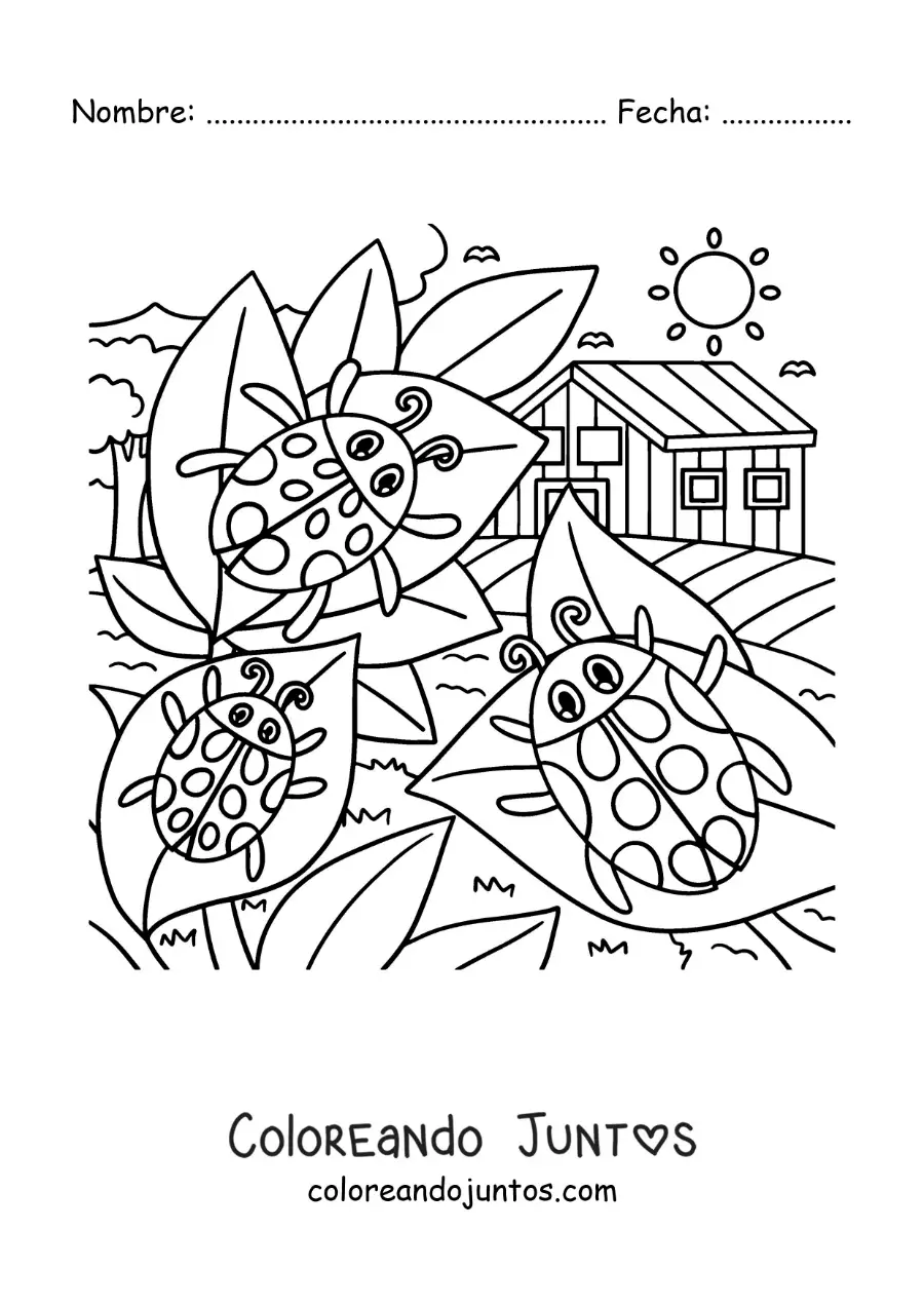Imagen para colorear de mariquitas animadas en un jardín