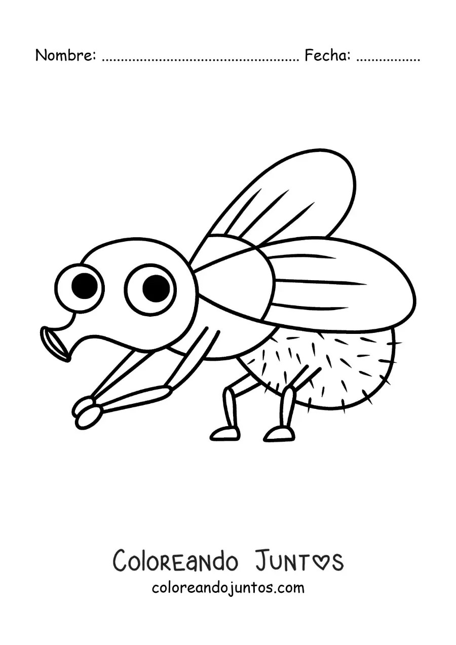 Imagen para colorear de una mosca animada graciosa limpiando sus patas