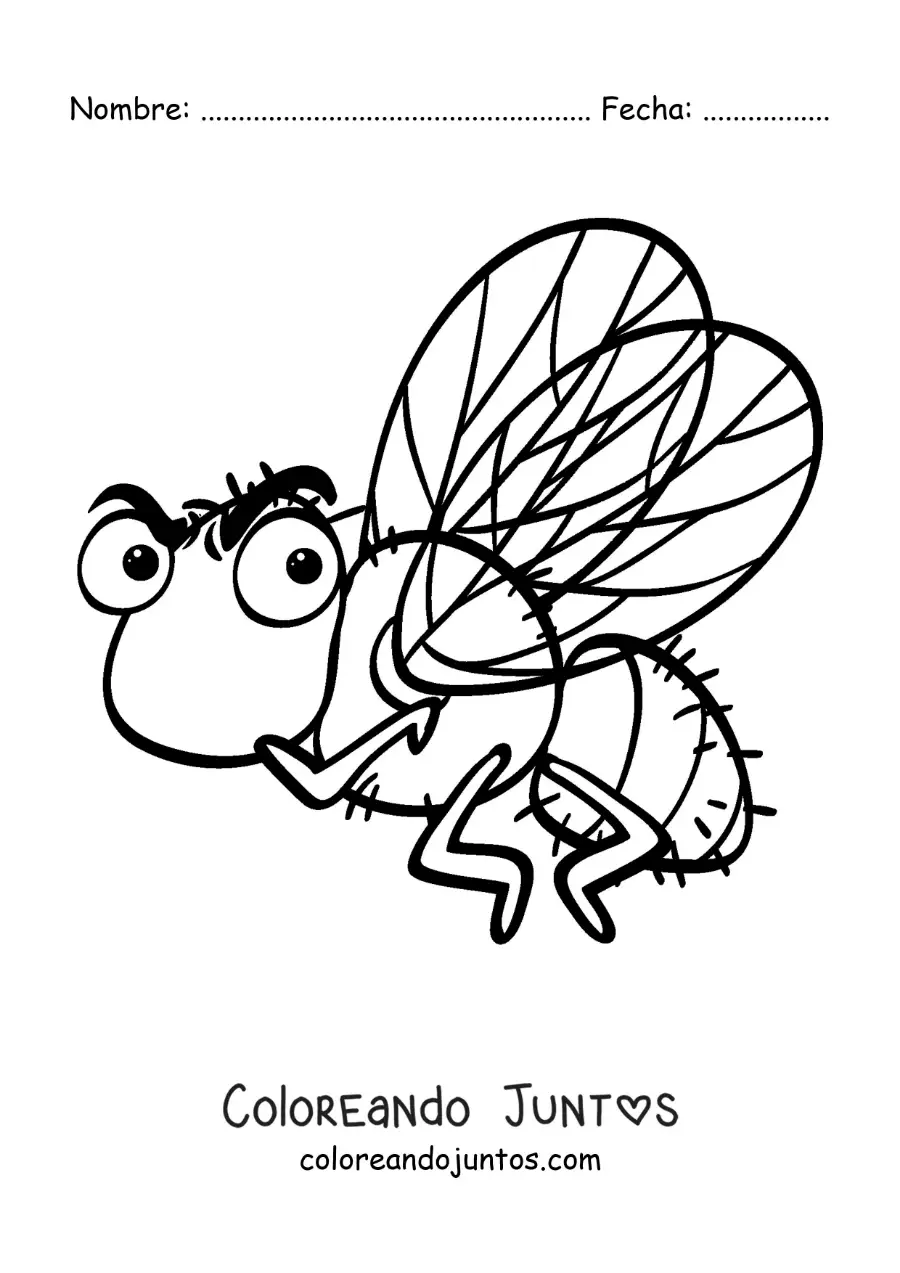Imagen para colorear de una mosca doméstica animada enojada