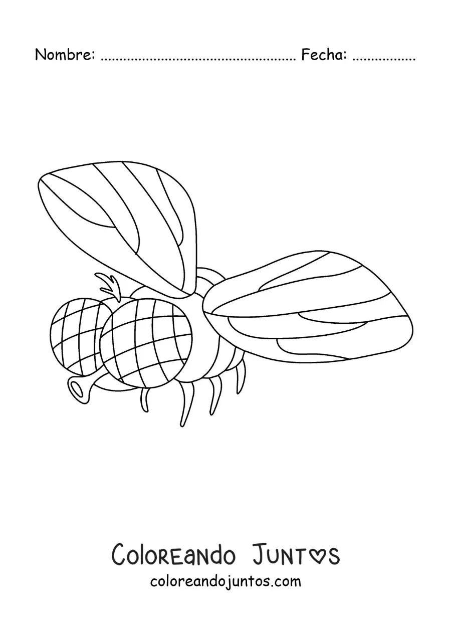 Imagen para colorear de una mosca doméstica volando
