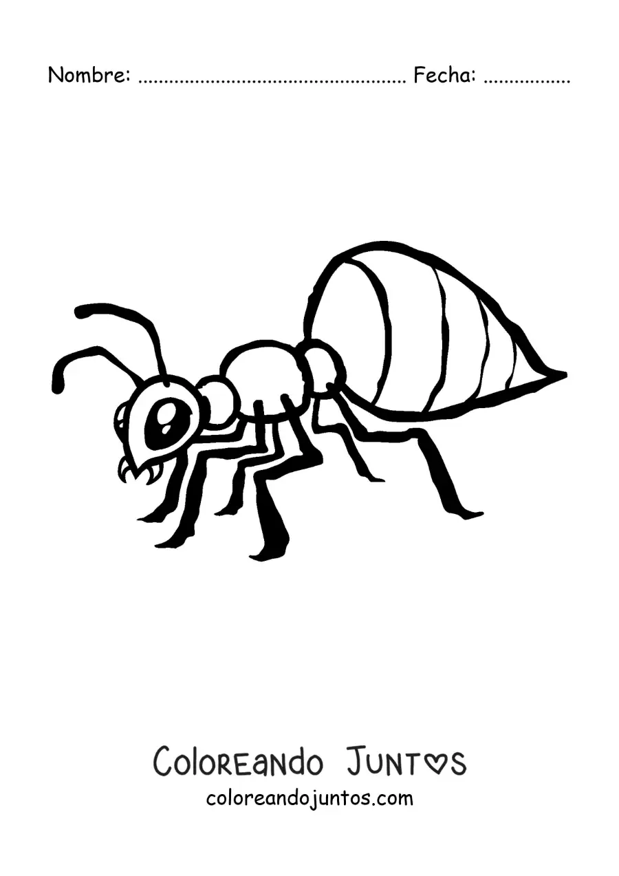 Imagen para colorear de una hormiga fácil