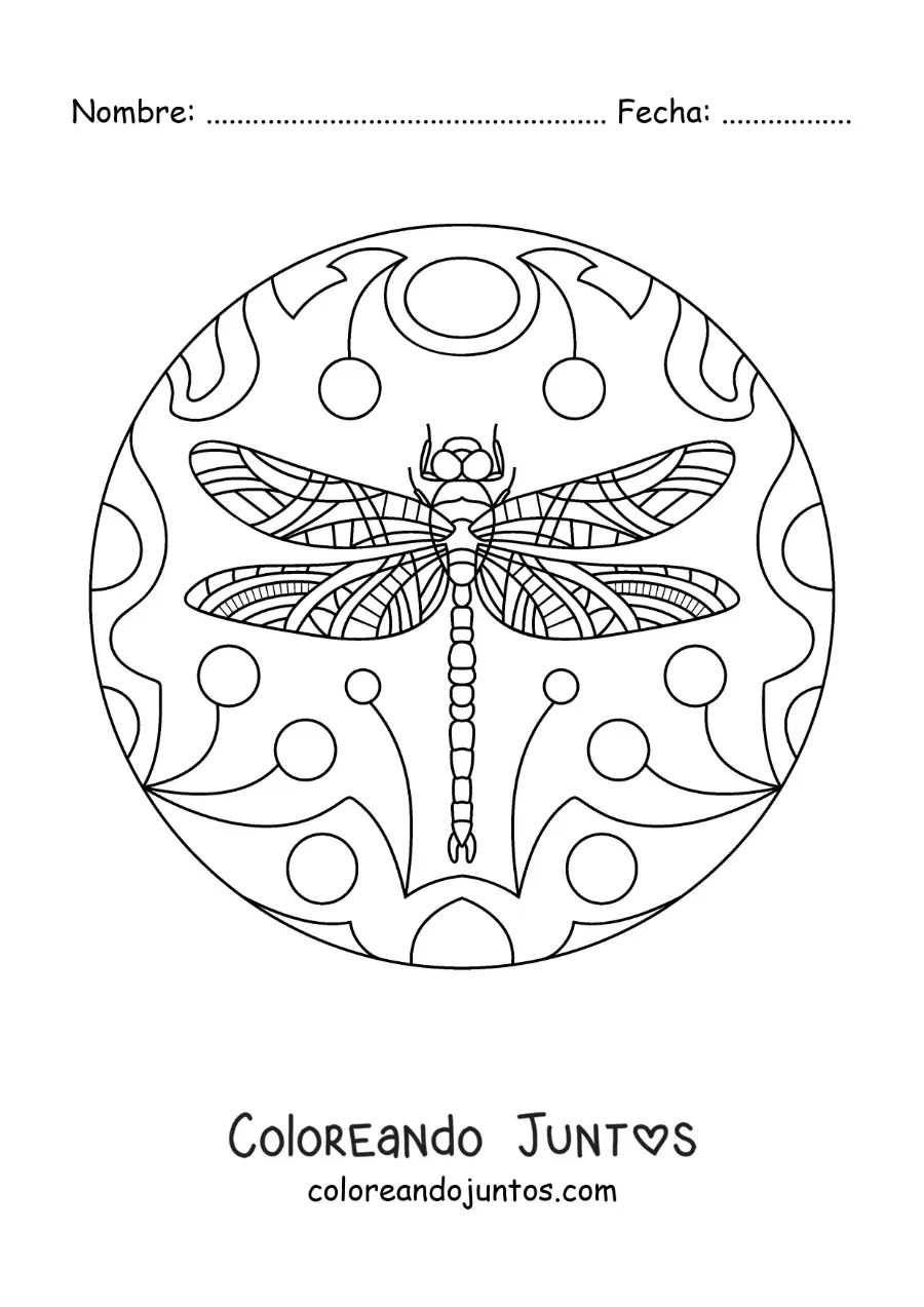 Imagen para colorear de mandala de libélula