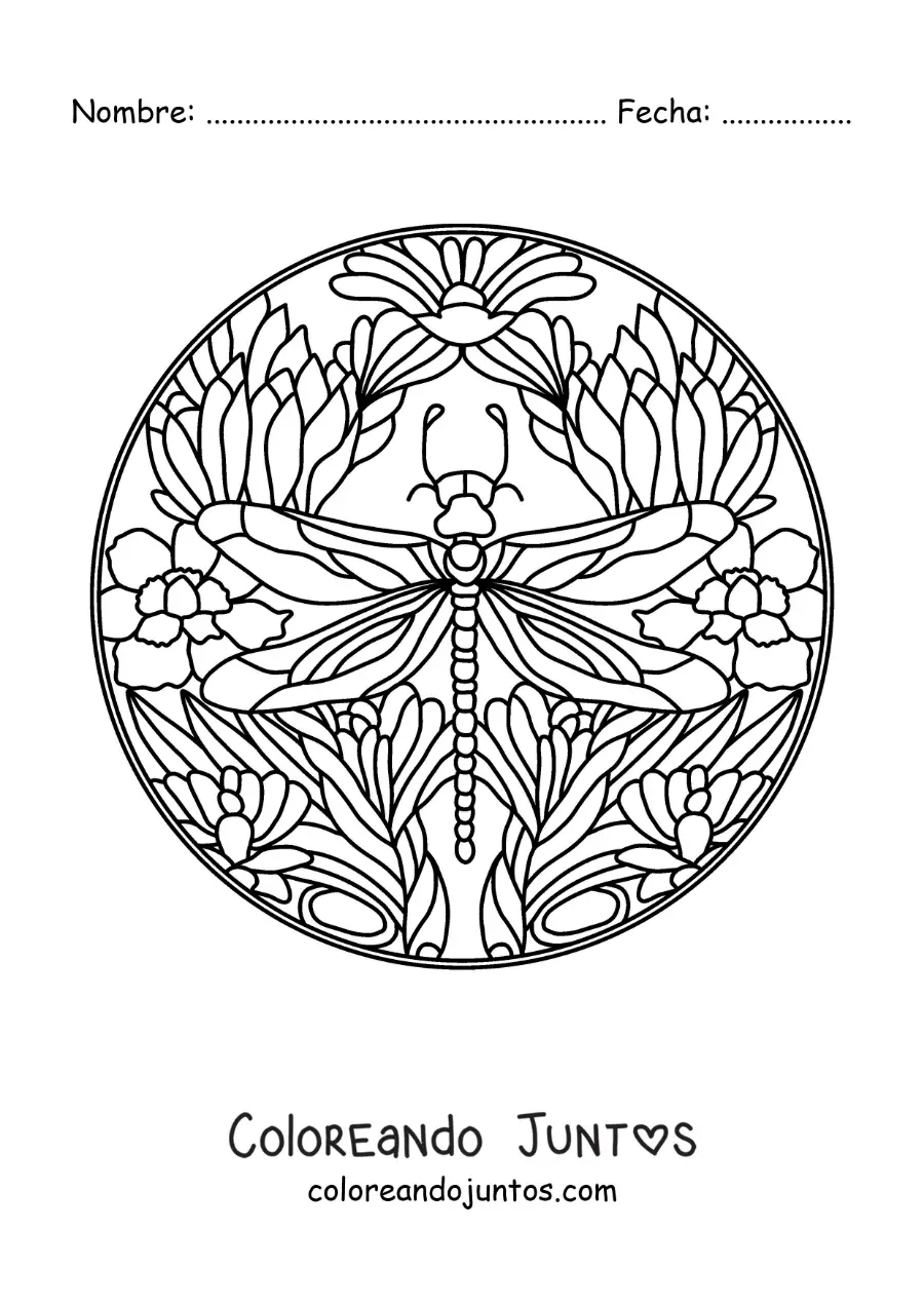 Imagen para colorear de mandala de libélula con flores