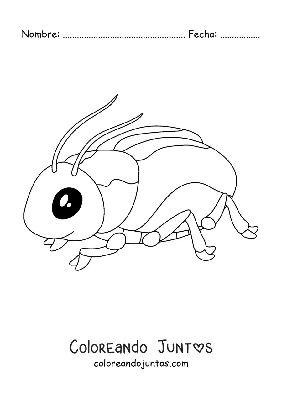 Imagen para colorear de escarabajo kawaii