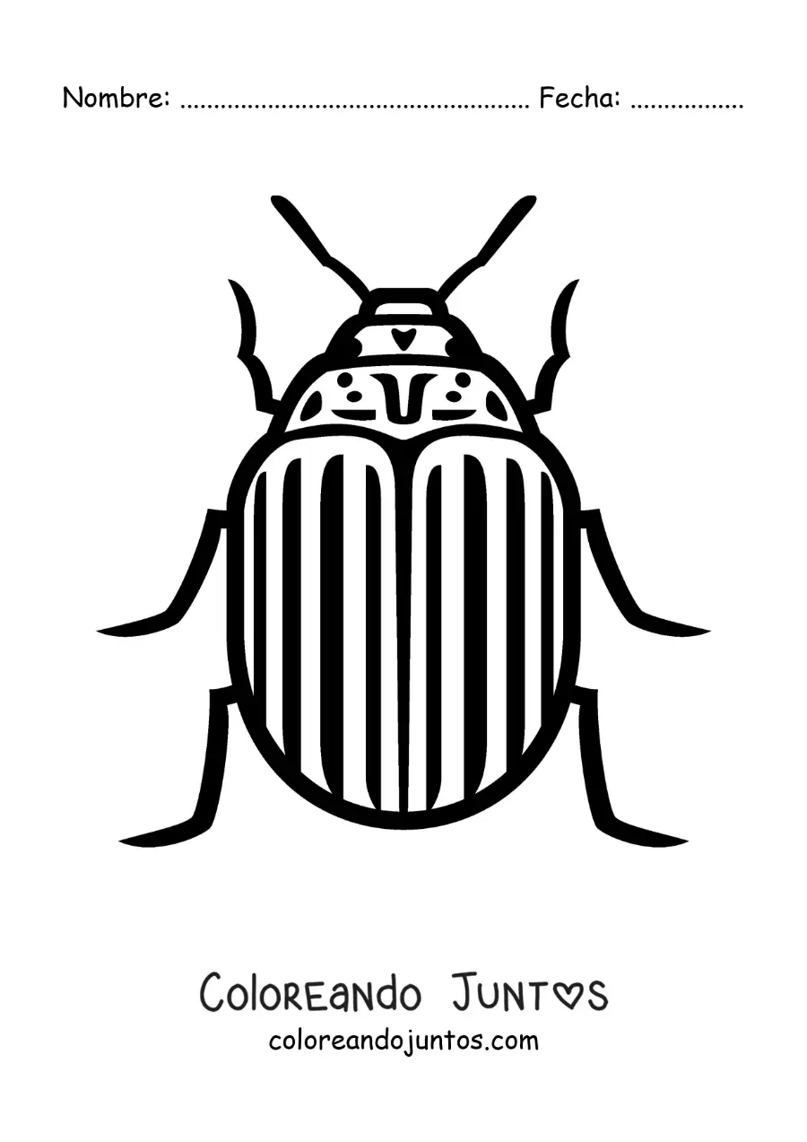 Imagen para colorear de escarabajo de la patata fácil