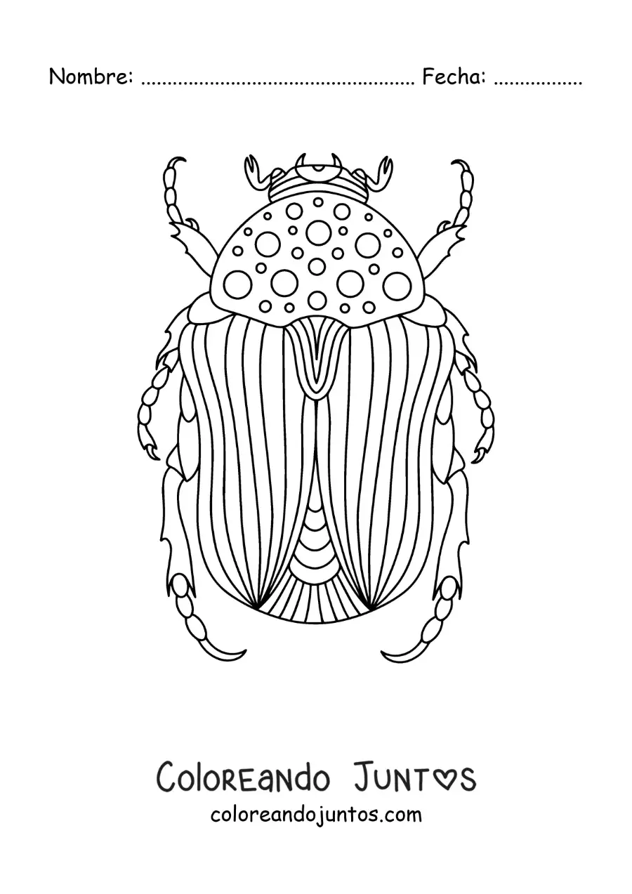 Imagen para colorear de un escarabajo grande