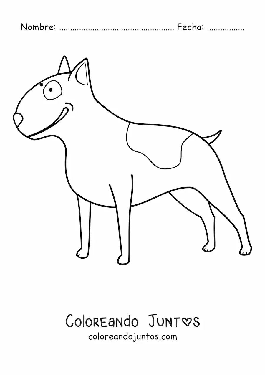 Imagen para colorear de un bull terrier