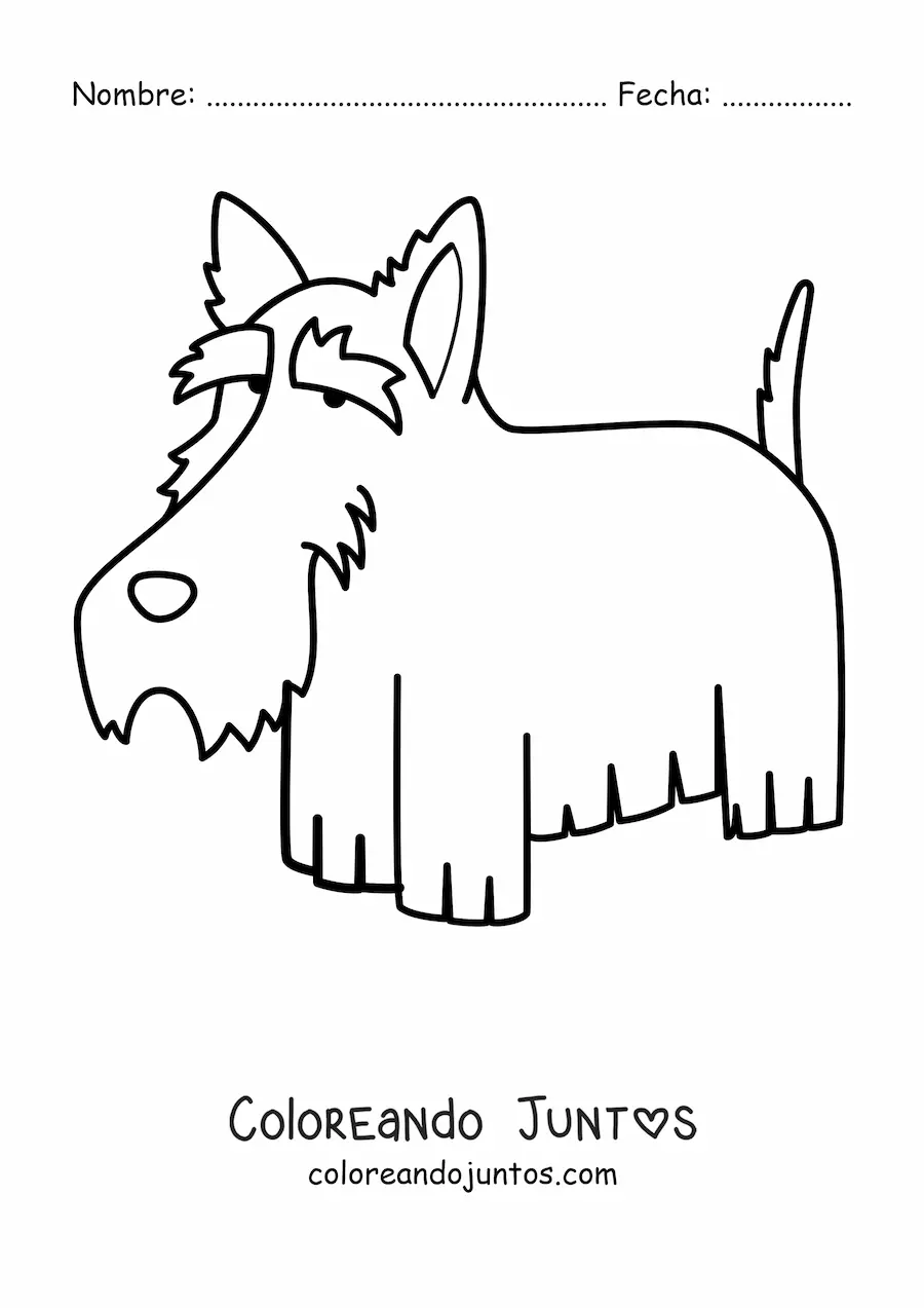 Imagen para colorear de un terrier escocés