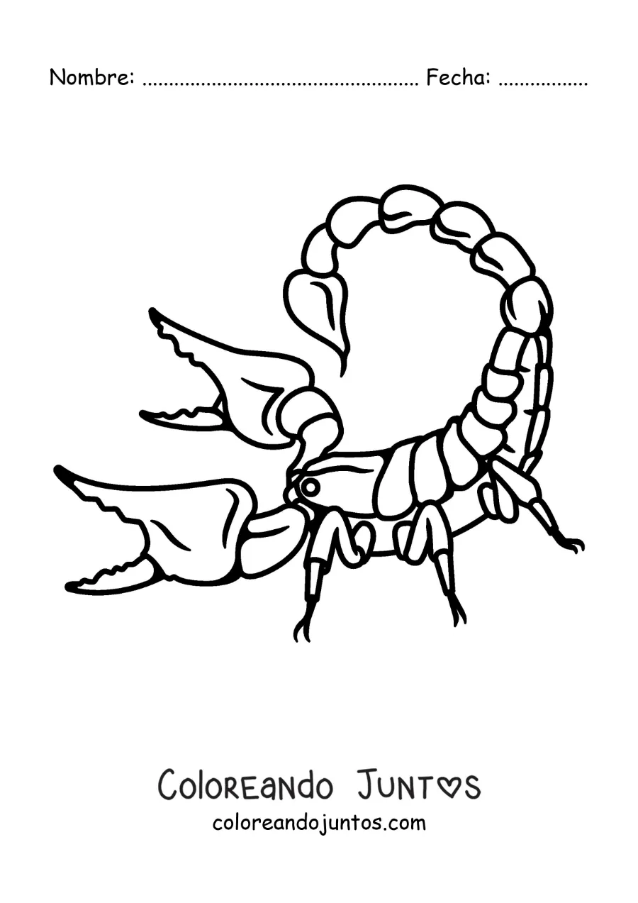 Imagen para colorear de escorpión animado