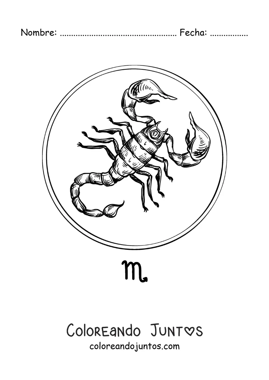Imagen para colorear de escorpión realista del signo Escorpio