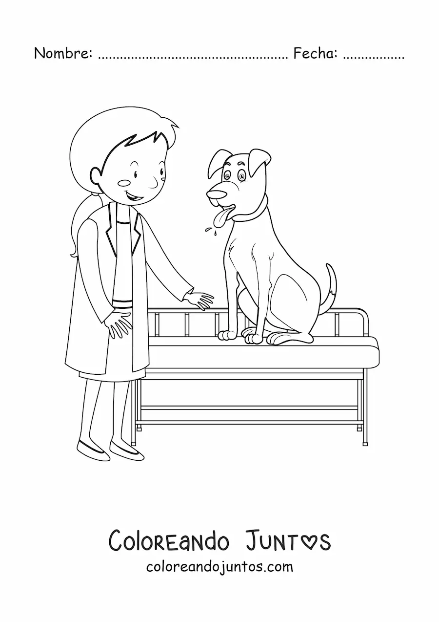 Imagen para colorear de una veterinaria con un perro en una camilla