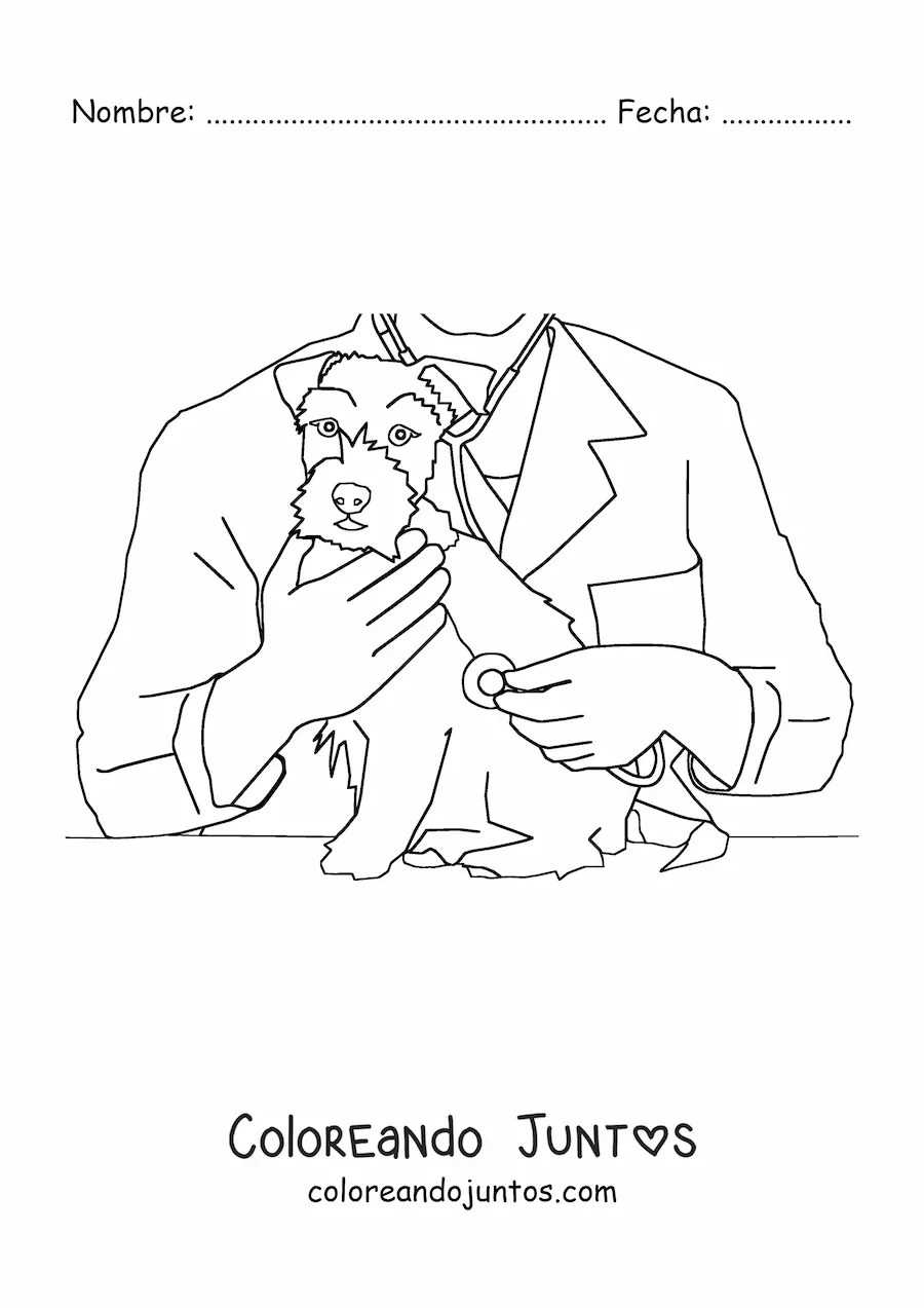 Imagen para colorear de un veterinario auscultando a un perro