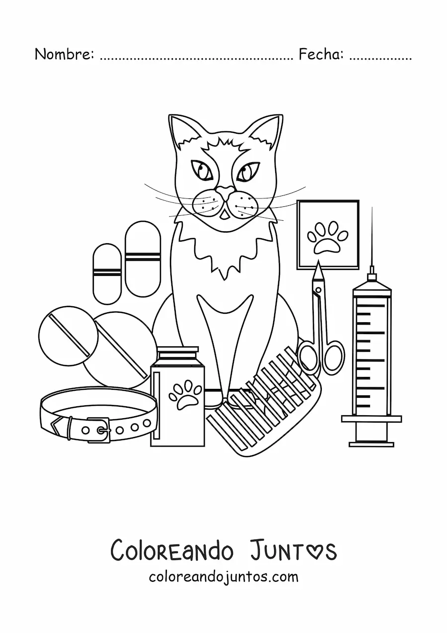 Imagen para colorear de un gato junto a instrumentos del veterinario