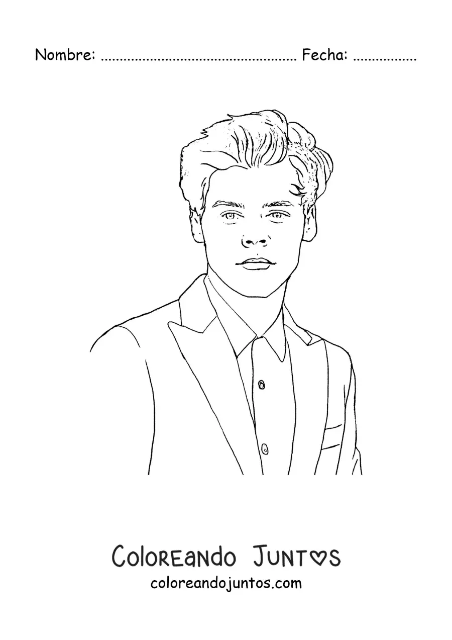 Imagen para colorear de un retrato de Harry Styles en estilo realista