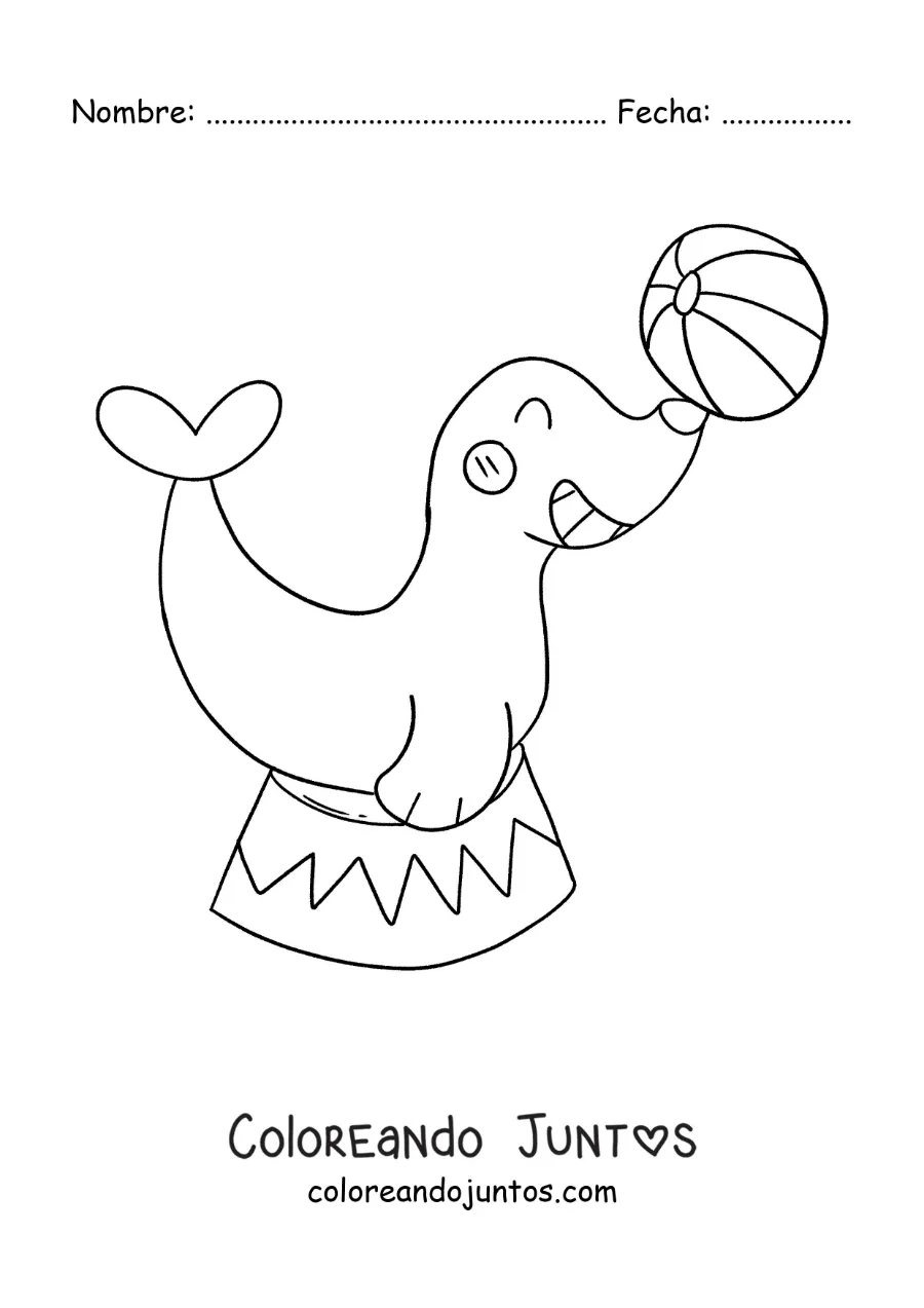 Imagen para colorear de una caricatura de una foca de circo balanceando una pelota