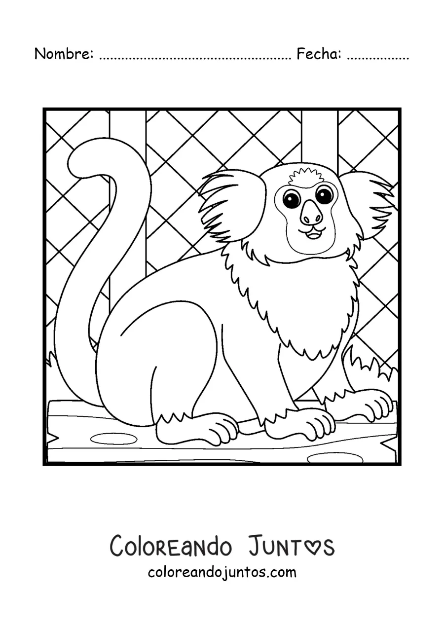 Imagen para colorear de un mono tití del zoológico animado en una jaula