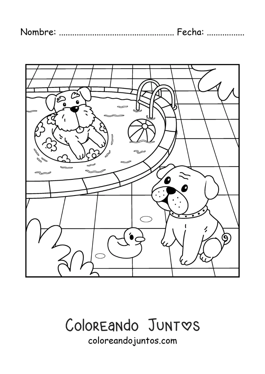 Imagen para colorear de perros animados en una piscina