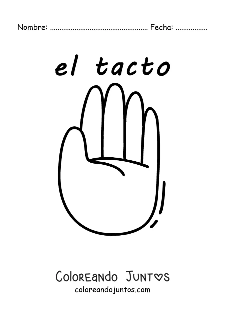 Imagen para colorear de ficha educativa del sentido del tacto