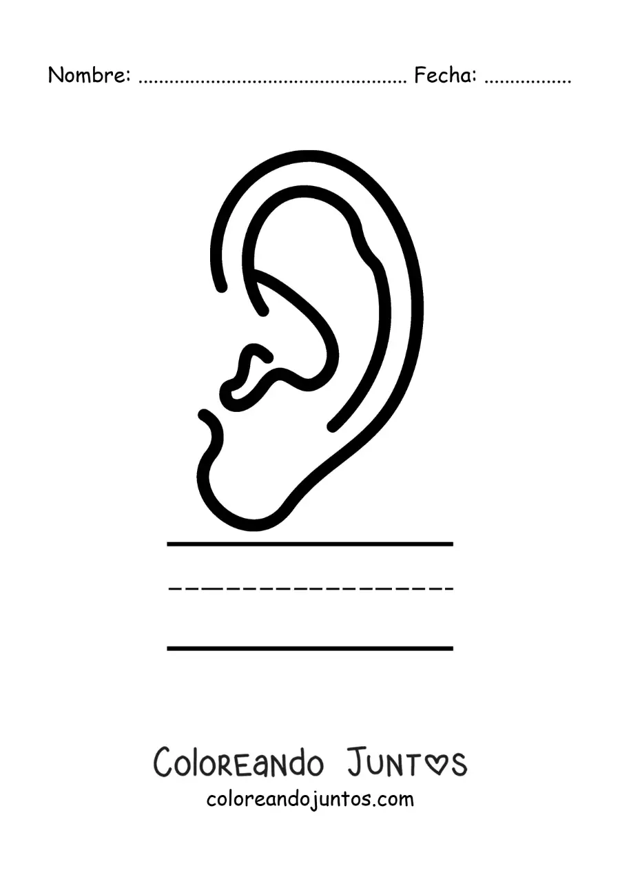 Imagen para colorear de actividad educativa para niños del sentido del oído