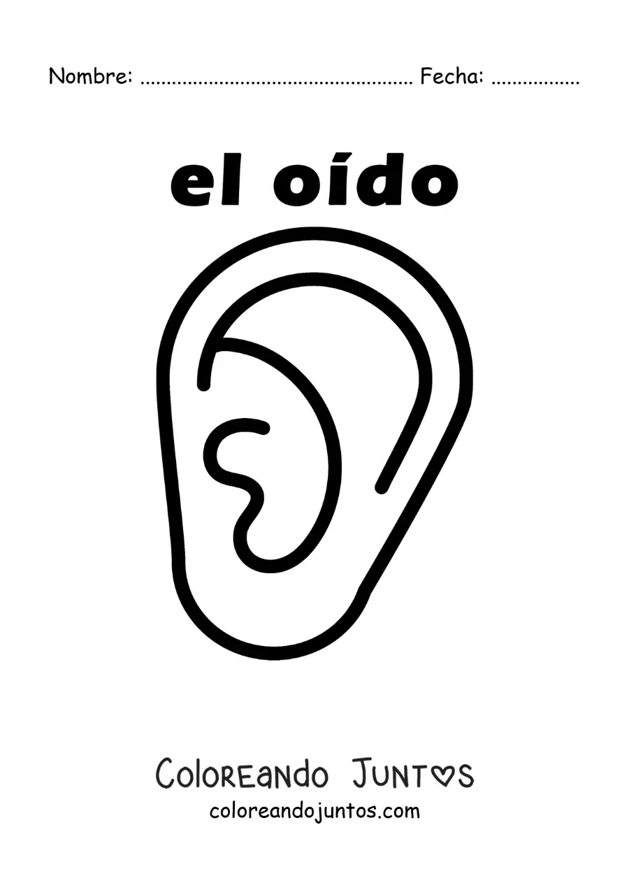 Imagen para colorear de ficha educativa del sentido del oído