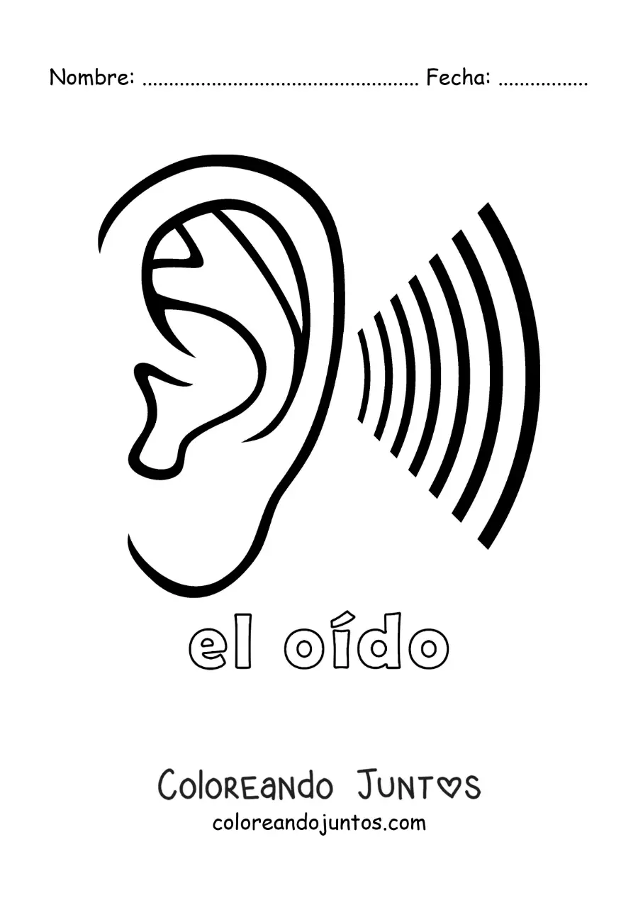 Imagen para colorear de un oído escuchando ondas sonoras