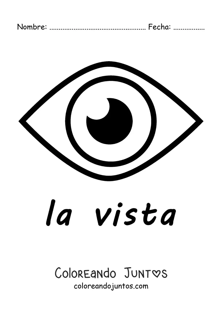 Imagen para colorear de un ojo humano como órgano de la vista