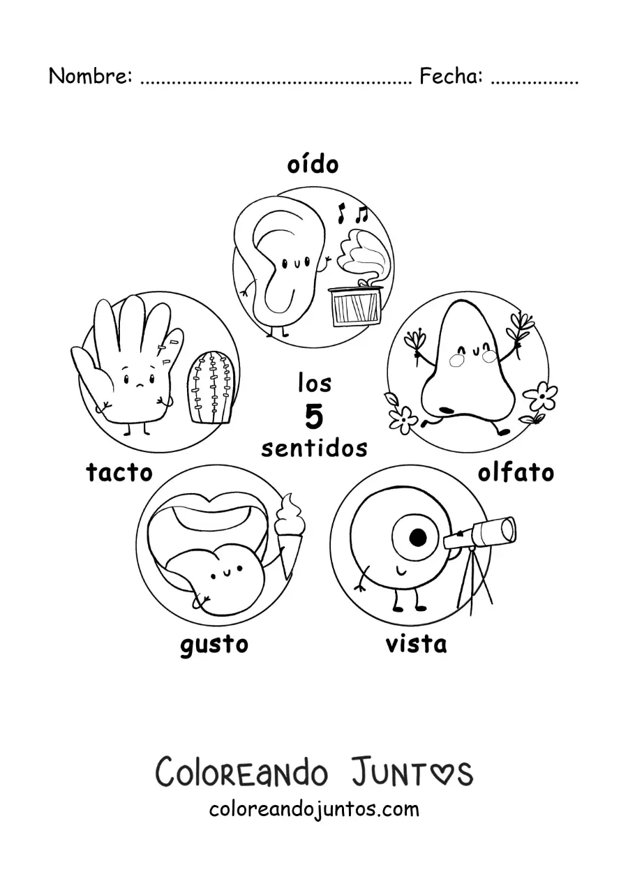 Imagen para colorear de caricaturas de los 5 sentidos para niños