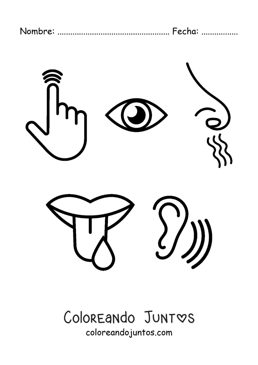 Imagen para colorear de símbolos de los cinco sentidos
