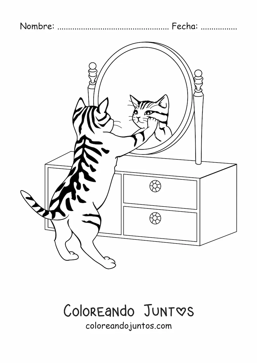 Imagen para colorear de un gato viéndose en el espejo de un tocador