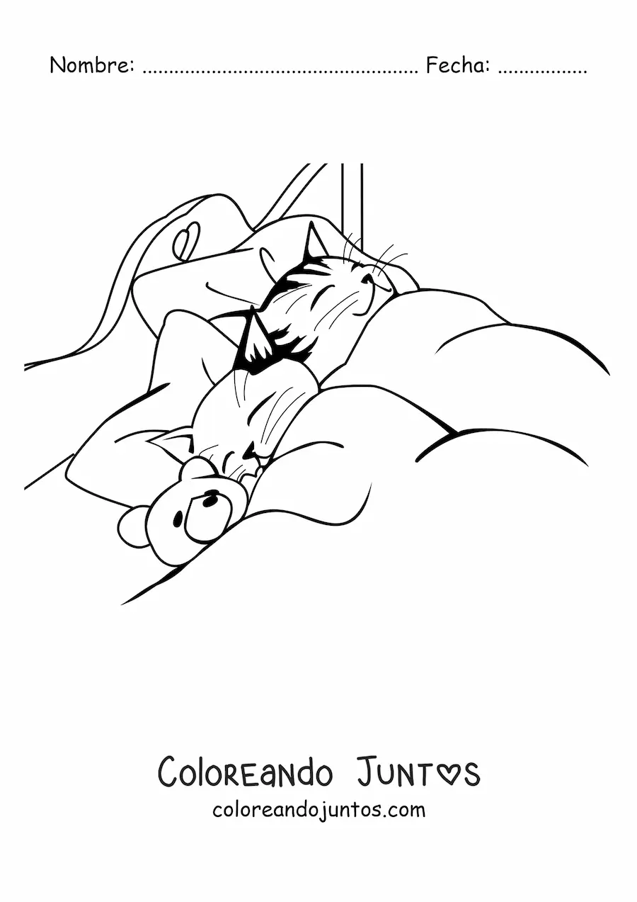 Imagen para colorear de dos gatos durmiendo en una cama junto a un oso de peluche