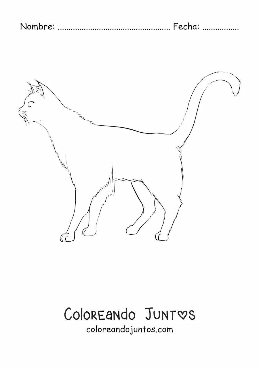Imagen para colorear de un gato caminando