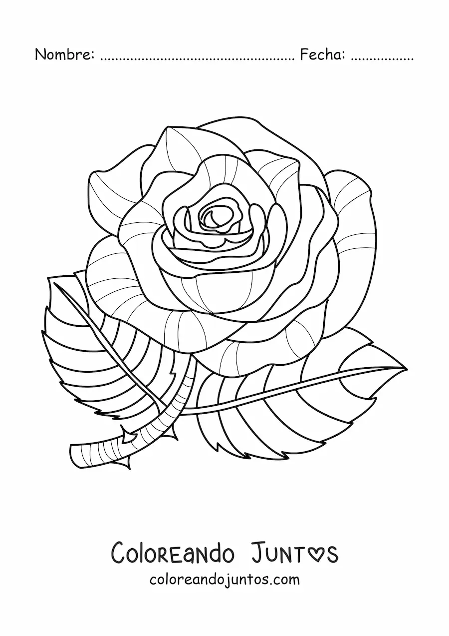 Imagen para colorear de una rosa grande con hojas y espinas