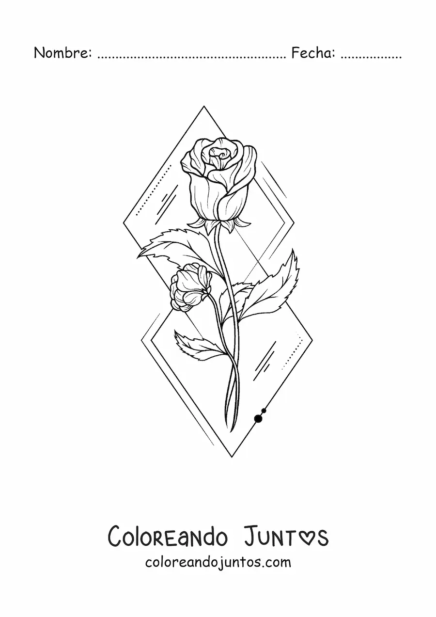 Imagen para colorear de dos rosas hermosas con hojas
