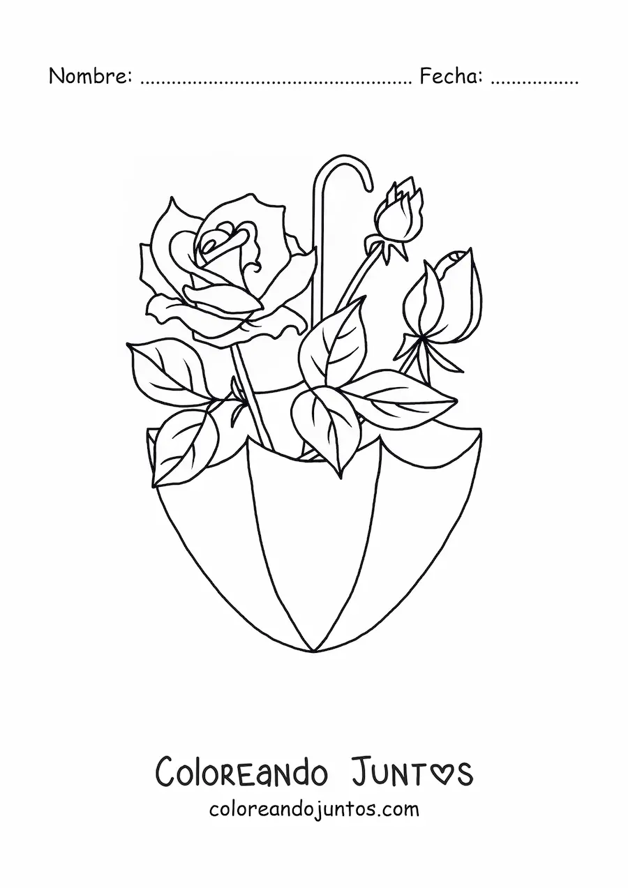 Imagen para colorear de una rosa y dos capullos de rosas dentro de una sombrilla