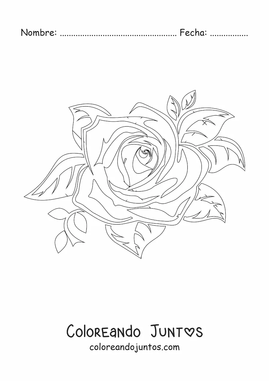 Imagen para colorear de una rosa grande realista con hojas