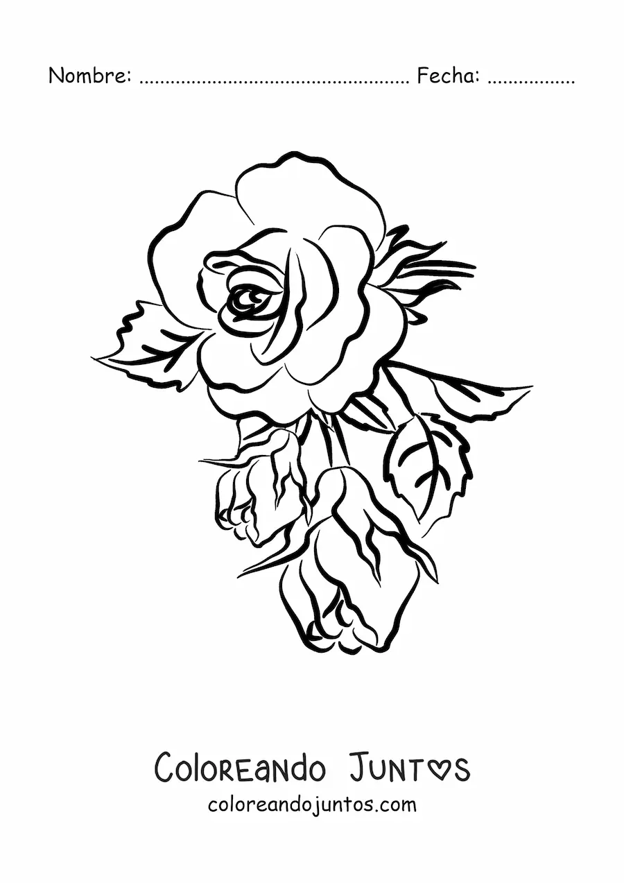 Imagen para colorear de una rosa grande sencilla con hojas