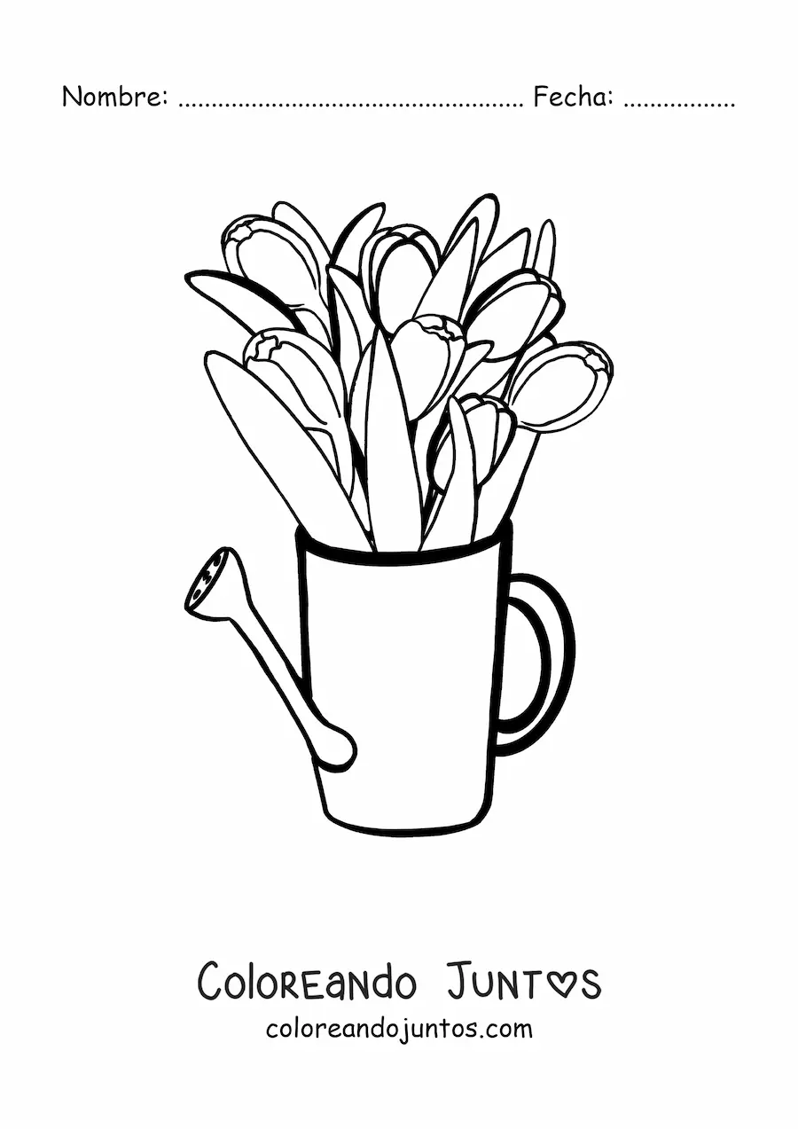 Imagen para colorear de un ramo de tulipanes en una regadera