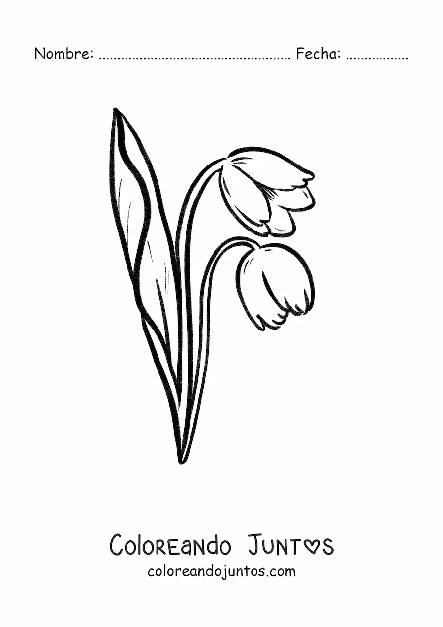 Imagen para colorear de un par de tulipanes con hojas