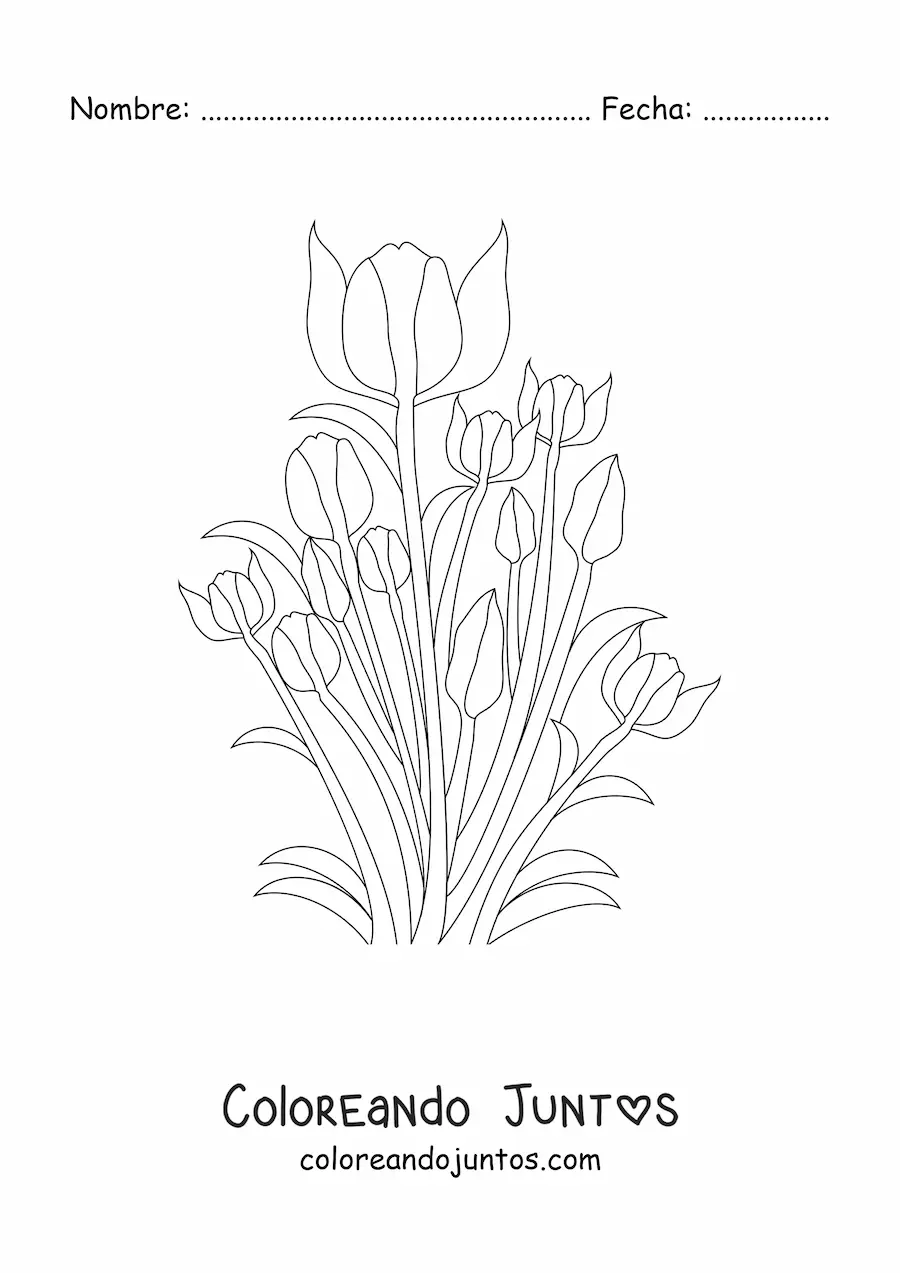 Imagen para colorear de varios tulipanes con hojas