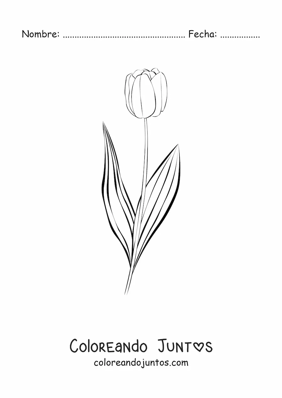 Imagen para colorear de un tulipán pequeño con hojas